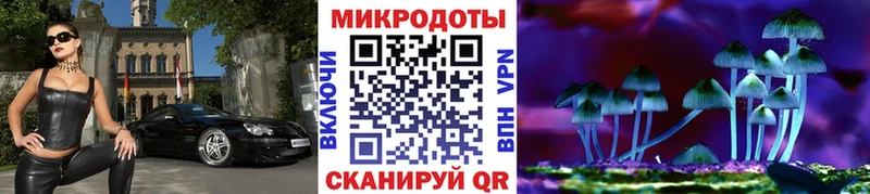 Псилоцибиновые грибы Psilocybine cubensis  Светлоград 