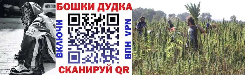 что такое наркотик  гидра вход  Шишки марихуана Amnesia  Светлоград 